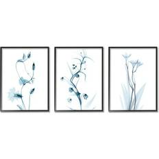 Stupell Industries Aesthetic Minimalist Botanical Floral Koetsier 3 Painting Framed Art 24x30"