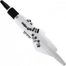 Roland Wind Instruments Roland Aerophone AE-20W