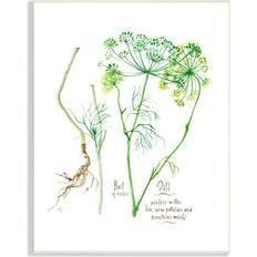 Stupell Industries Dill Greens Best Of Herbs Watercolor Garden Plants White Framed Art 10x15"