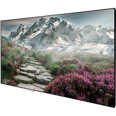 Celexon Deluxx cinema rahmenleinwand slimframe 221 x 124cm, 100" soundvision