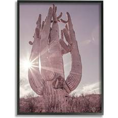 Stupell Industries Desert Sun Cactus Landscape Solar Photography Farmhouse Framed Art 36x48"