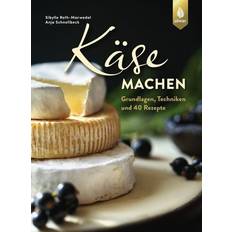 Reiben Käse machen Reibe