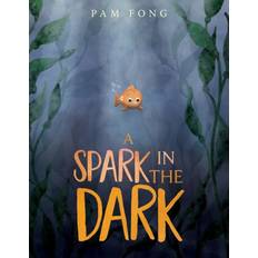 Calendars & Diaries Books A Spark in the Dark by Pam Fong