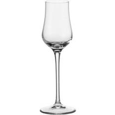 Schnapsgläser Leonardo ciao+ grappaglas extrem Schnapsglas 8cl 6Stk.