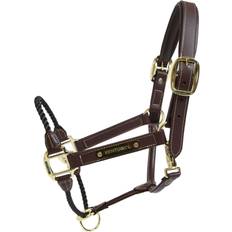 Halfter & Führstricke Aucune Kentucky Horsewear Lederhalfter Rope Halfter Braun