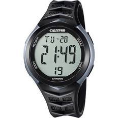 Calypso » Compare prices, products now offers) (and