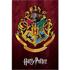 Harry Potter - Graphic Potter Poster Print - Item # VARTIARP16400