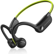 Bone Conduction