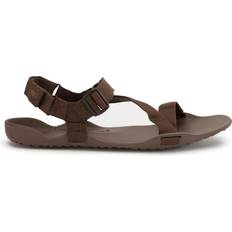 Sport Sandals Xero Shoes Men's Z-Trek II Brown