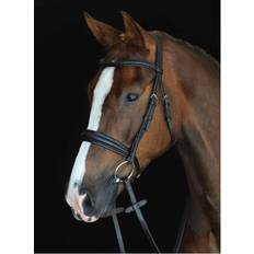 Weatherbeeta Bridles Weatherbeeta Black, Full Collegiate Mono Crown Padded Raised Cavesson Bridle