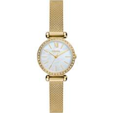 Fossil watches women Fossil (BQ3898)