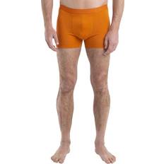 Icebreaker Merino Men's Standard Anatomica Boxer with Fly Underwear, Loden  : : Clothing, Shoes & Accessories