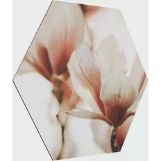 Glas Bilder Delicate Magnolia Flowers in the Play of Light Satin Matt Bild 25x22cm