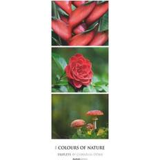 Beige Kalender Colours of Nature Triplets 2025
