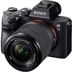Sony a7 III + 28-70mm F3.5-5.6 OSS + 55-210mm + 500mm
