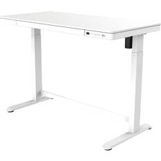 Flexispot EG8 Glass Standing Writing Desk