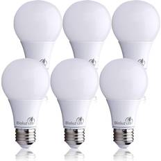 Bioluz LED 40 Watt LED Light Bulbs 2700K Warm White 6 Watts = 40W Non-Dimmable A19 LED Light Bulbs 6 Pack