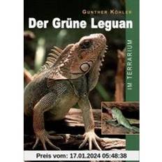 Bücher Der Grüne Leguan im Terrarium (Geheftet)