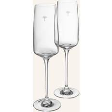 Beige Glas Joop! 2er-Set Champagnergläser CORNFLOWER Weinglas