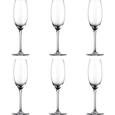 Rosenthal Champagne Glasses Rosenthal Thomas Divino Champagne Glass 6.4fl oz 6