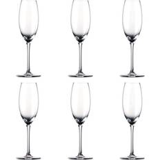 Rosenthal Glass Rosenthal Thomas Divino Champagneglass 19cl 6st