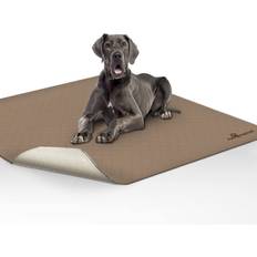 Pee pads for dogs • Compare & find best prices today »