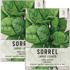 Herb Seeds Rumex Acetosa 2-packs
