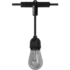 LEDVANCE Smart + String Light Black/Clear Lichterkette 12 Lampen