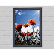 Bilder reduziert Brayden Studio Gerahmtes Orange Poppy Skies Bild