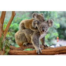 Union Rustic Mother Koala with Baby on her Back Multicolour Wanddeko 122x81cm