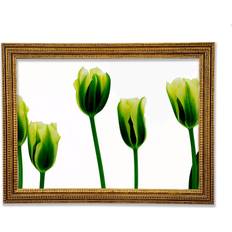Bilder reduziert Ebern Designs Grüne Tulpenparade Gerahmter Druck Bild