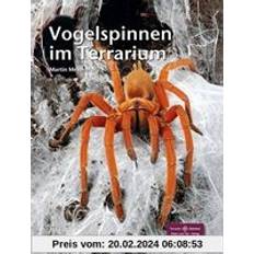 Bücher Vogelspinnen im Terrarium Terrarien-Bibliothek (Geheftet)