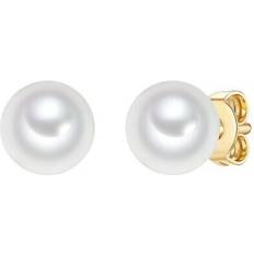 Trilani Freshwater Cultured Stud Earrings - Gold/White