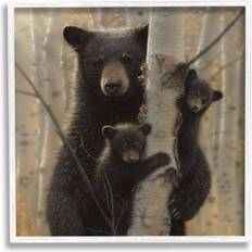 Wall Decorations Stupell Black Bear and Cubs Soft Birch Tree Forest Framed Art