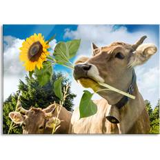 Close-Up Cow With Sunflower In Its Mouth Multicolor Bild 60x40cm