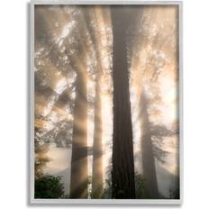 Stupell Industries Sun Rays Woodland Trees View Gray Framed Art 24x30"