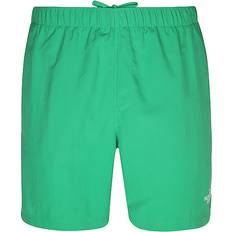 The North Face Bademode The North Face Badeshorts grün