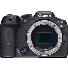 DSLR-Kameras Canon EOS R7 + RF 24-105mm F/4 l is USM + 420-800mm f/8.3