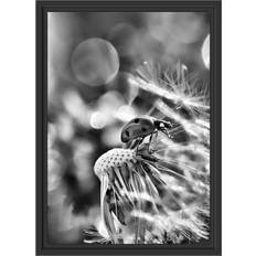 East Urban Home Mural Ladybug on Dandelion Black Bild 40x55cm