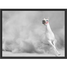 East Urban Home White Stallion in the Desert Black Bild 80x60cm