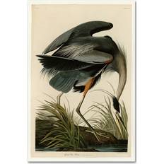 Framed Art Trademark Fine Art Great Blue Heron Multicolored Framed Art 32x22"