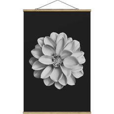 Dahlia Black/White Poster 35x52.5cm