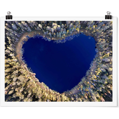 In the Heart of the Forest Multicolor Poster 40x30cm