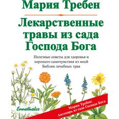 Russisch Bücher Heilkräuter aus dem Garten Gottes (Geheftet)