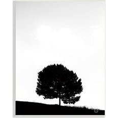 Framed Art Stupell Minimal Sycamore Tree Silhouette Black White Nature Photography Plaque Framed Art