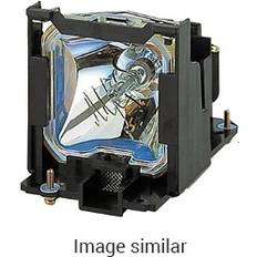 Projektorlamper NEC Original Lamp