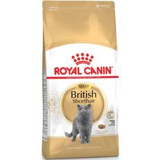 Katzen Haustiere Royal Canin British Shorthair Adult 2kg