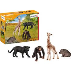 Schleich Wild Life Starter Set 72162