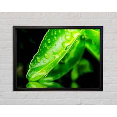 Ebern Designs Green Leaf Reflection Black Bild 84.1x59.7cm