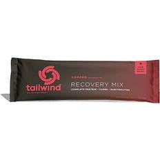 Nutritional Drinks Tailwind Nutrition Recovery Drink Mix 12